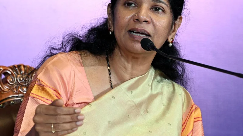 DMK MPs boycott Vijay’s delimitation meeting; Kanimozhi dubs it ‘political drama’