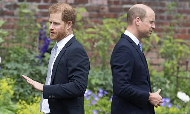 MAIL ON SUNDAY COMMENT: For the sake of the Monarchy, and their sick father, the Princes must now reconcile