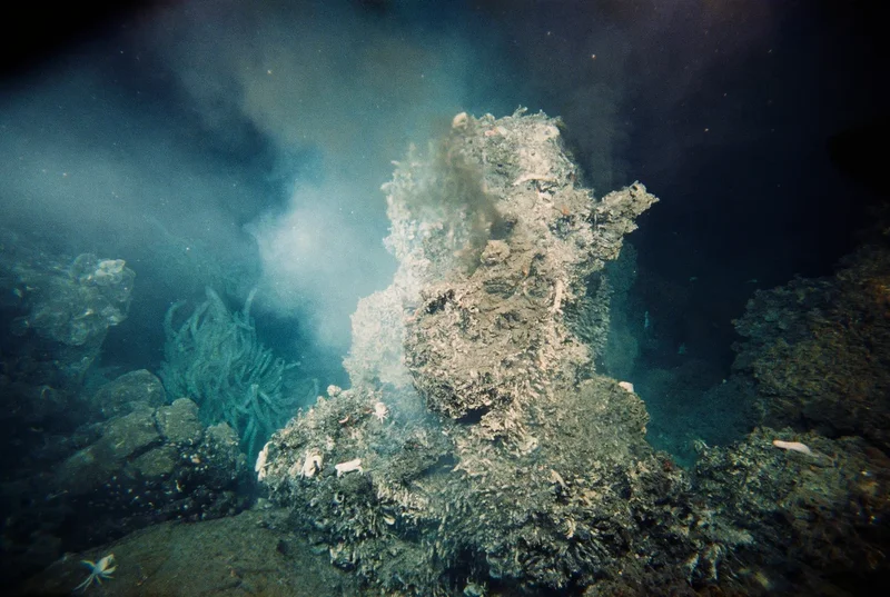 Life’s ‘last universal common ancestor’ may predate life itself