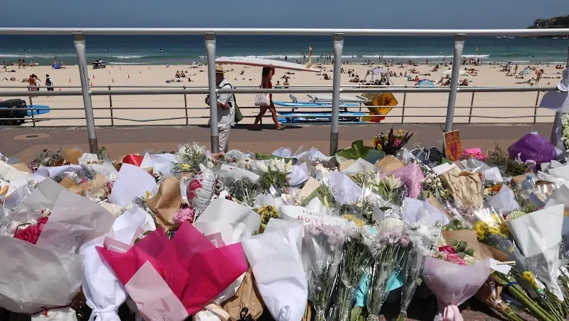 Australia's capital to join gun buyback in response to Bondi Beach attack