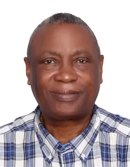 House of chiefs should be next, By Eric Teniola