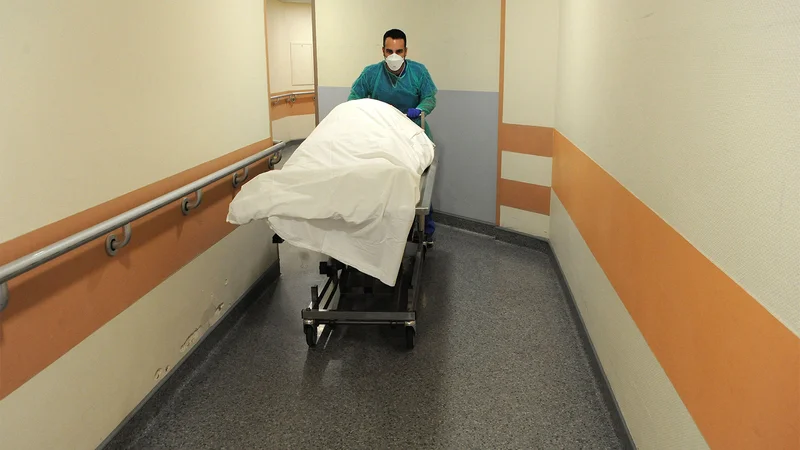 COVID Excess Deaths Paper Retracted Over Misinformation