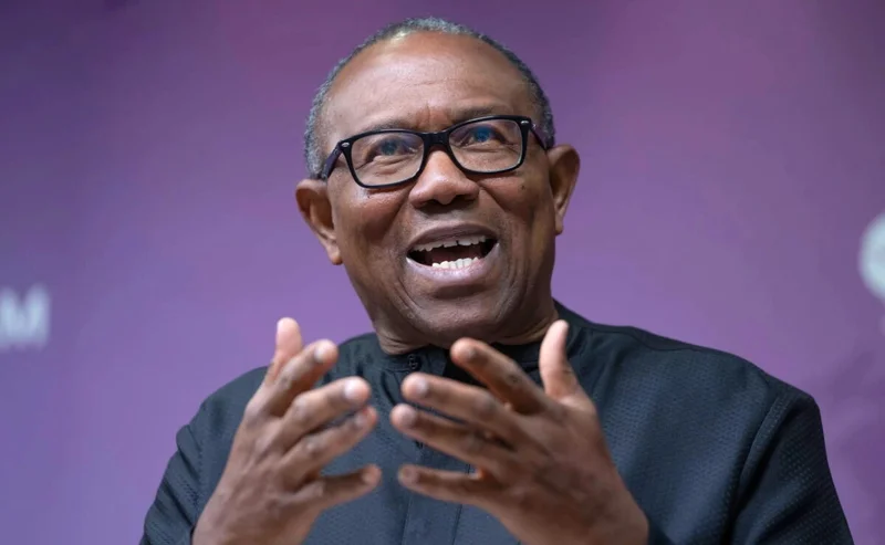 Professors now aid illiterates to rig elections in Nigeria – Peter Obi