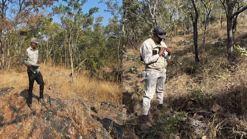 Patriot mapping hints at giant Zambian copper potential