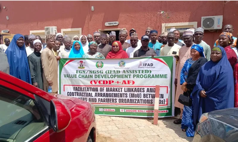 VCDP exit: Niger SPC urges CAF to close ranks, sustain farmers’ gains