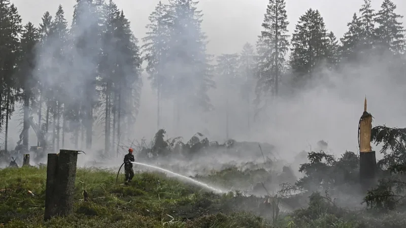 Firefighters in 'decisive' push to encircle Belgian wildfire