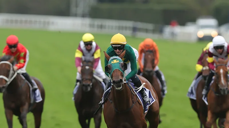 Tips and previews for racing at Randwick on Saturday