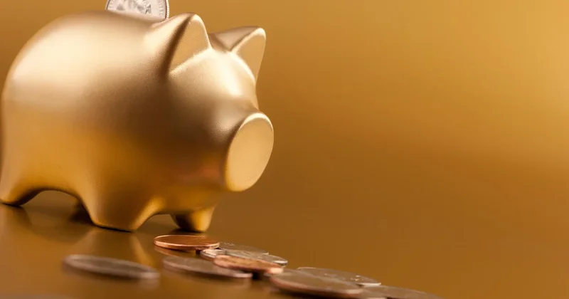 Thinking about a gold IRA? Here's what you need to know first.