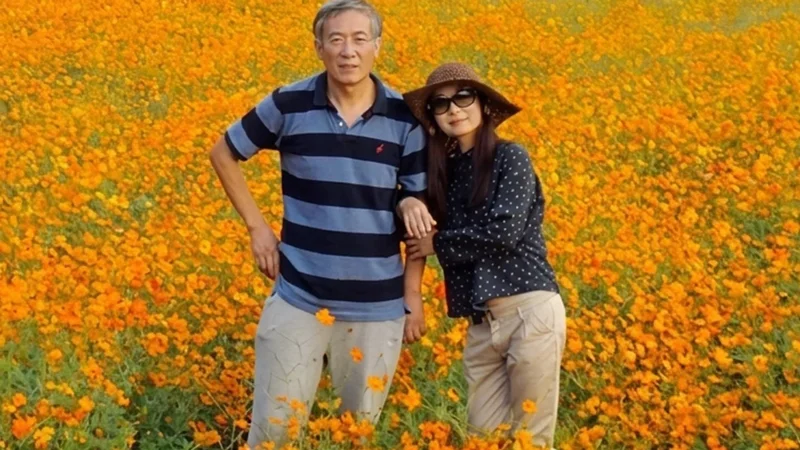 Wife’s childhood memory inspires Chinese husband to build world’s largest hollyhock garden