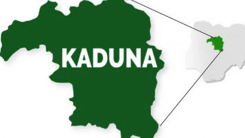 Adamu Toro: How Kaduna is being repositioned as Nigeria’s biggest agricultural hub