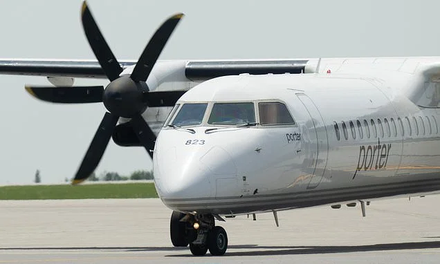 Passenger flight is cancelled after young child refuses to sit down and buckle up, despite parents and crew pleading with them