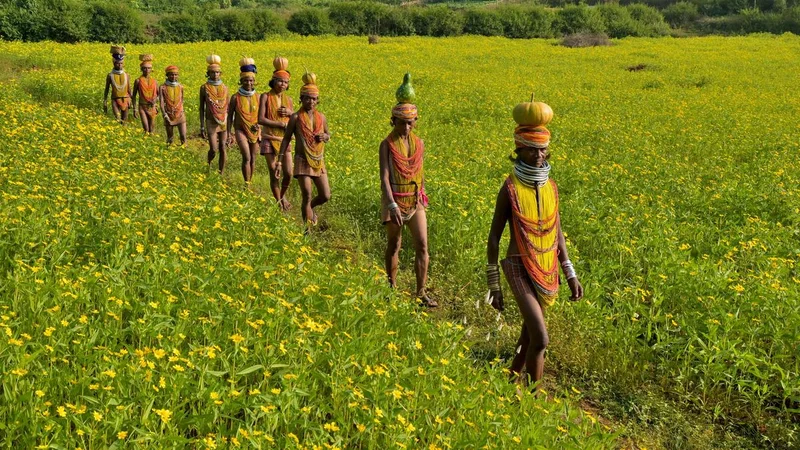 National Handloom Day: Inside the Bonda tribe’s enduring Ringa weaving tradition