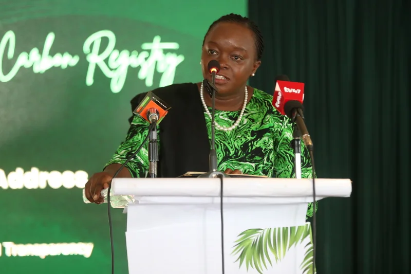 Kenya unveils carbon market rule book and caps the overseas sale of carbon credits