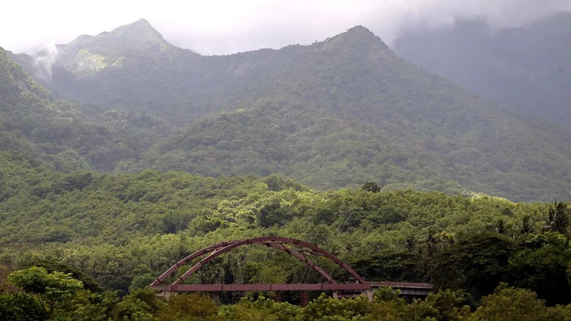 Forest Department starts collating all illegally geo-tagged locations in Kerala forests