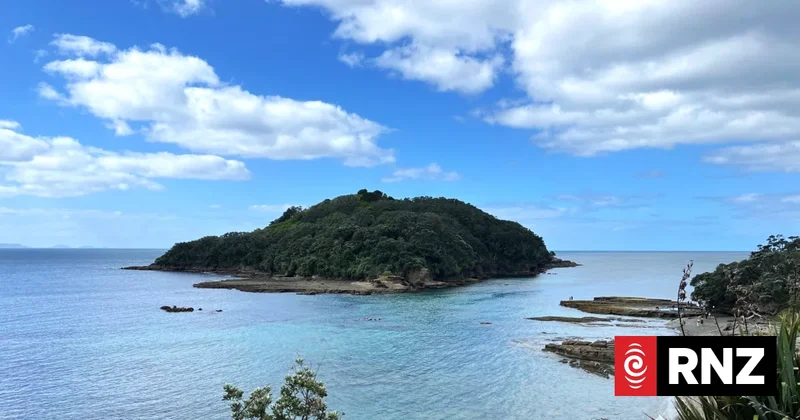 Popular Auckland marine reserve Goat Island the next site for paid parking