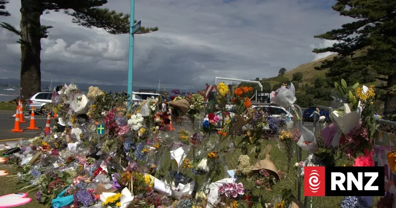 Report on Mt Maunganui landslide risk unread: Tauranga City Council