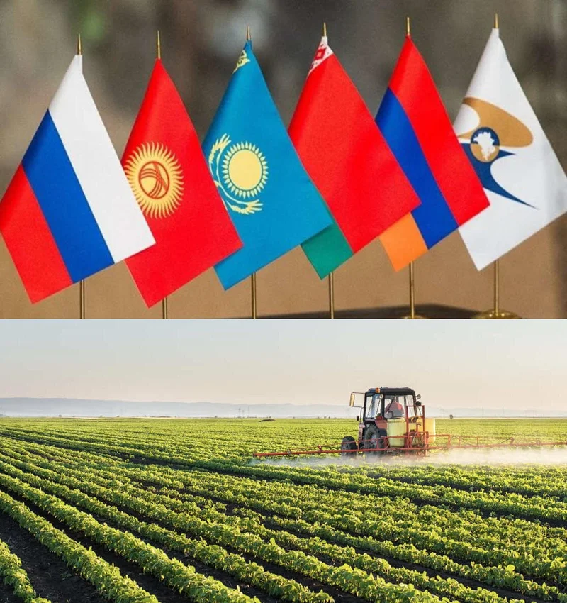 Iran urges agricultural cooperation among EAEU member states