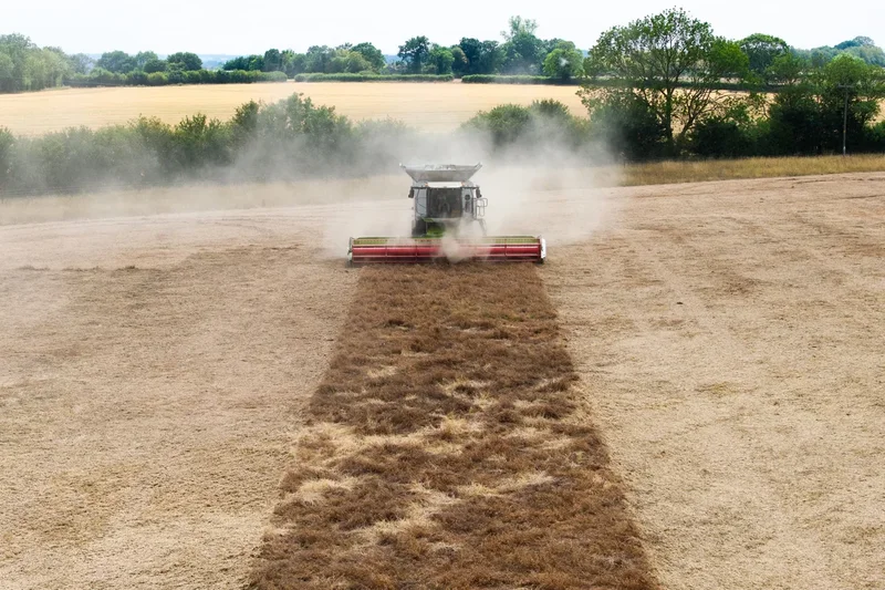 UK faces ‘worst food security crisis in decades’ due to repeated heatwaves