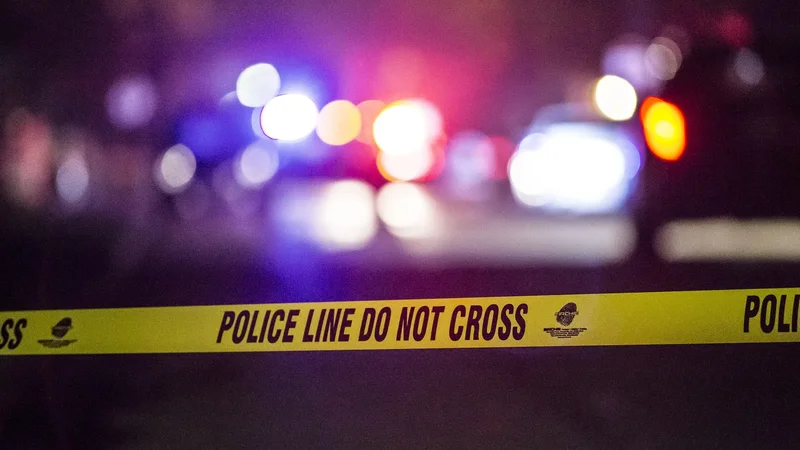 Did AI play a role in a grisly double murder?