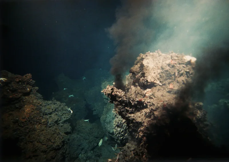 Did life on Earth only arise once? Perhaps not