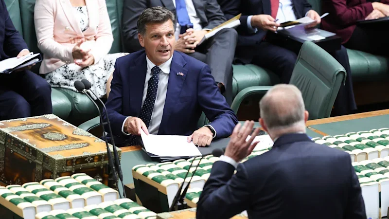 Albanese steps in to salvage Labor’s big tech, gambling agenda