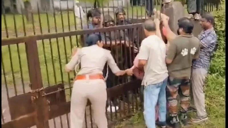 Asiatic lion rescued after getting trapped in spiked gate in Gujarat’s Junagadh