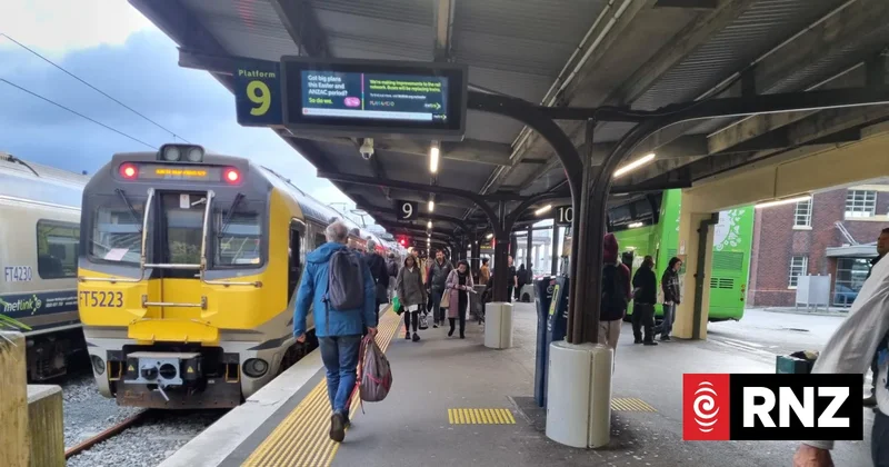 Second arrest after attempt to steal railway copper disrupts train travel in Wellington