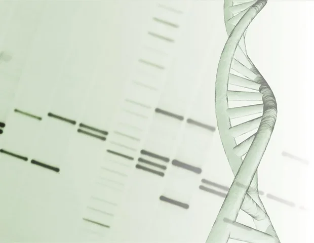 Weizmann study reveals how DNA repair enzymes choose targets