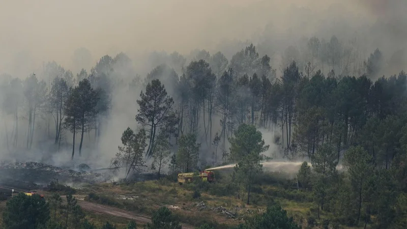 Europe’s relentless summer has led to unprecedented wildfires