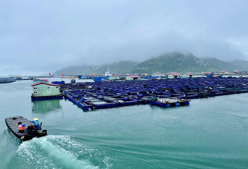How China's marine farming model can reshape Iran's coasts