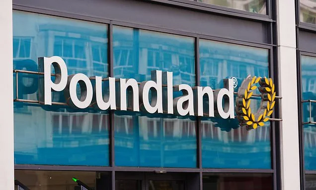 Owner of Poundland exploring sale just a year after buying it for €1