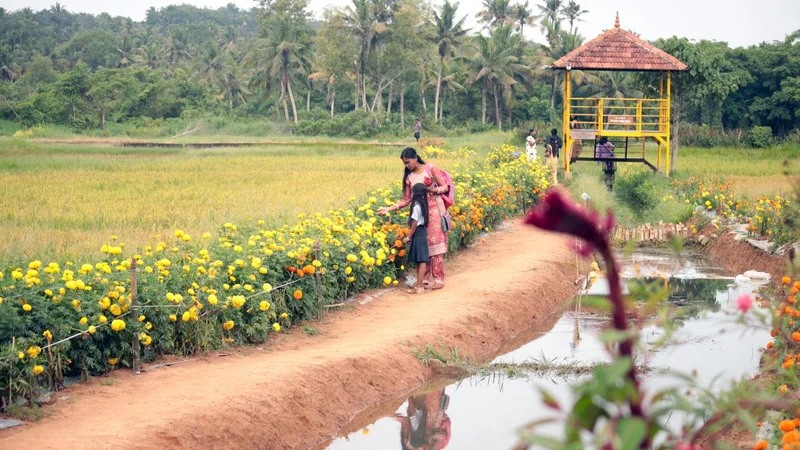 How Mudapuram in Thiruvananthapuram is attracting visitors this Onam