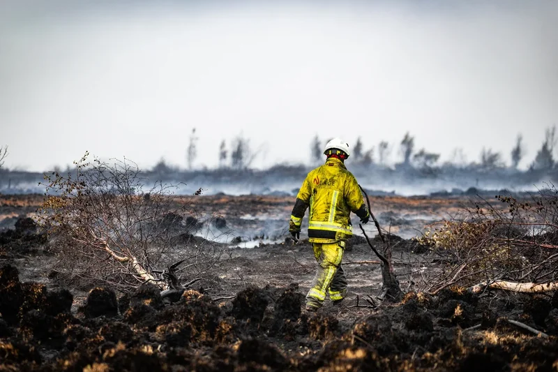 Fears undiscovered WWII munitions could explode as wildfires burn underground