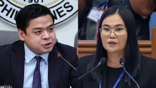 Ridon to Sison: Don't gaslight, lawyer said misleading questions allowed