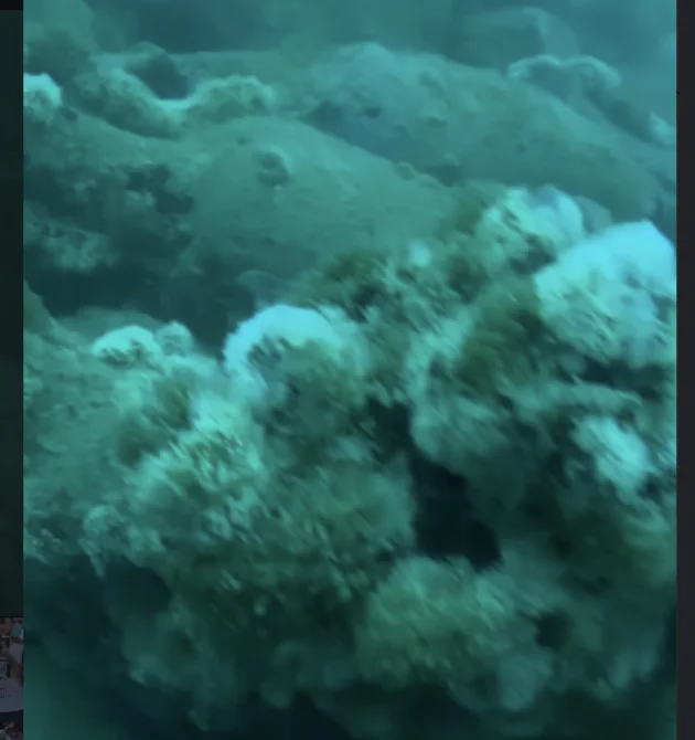 Divers find Roman 2,100-year-old shipwreck off coast of Sicily