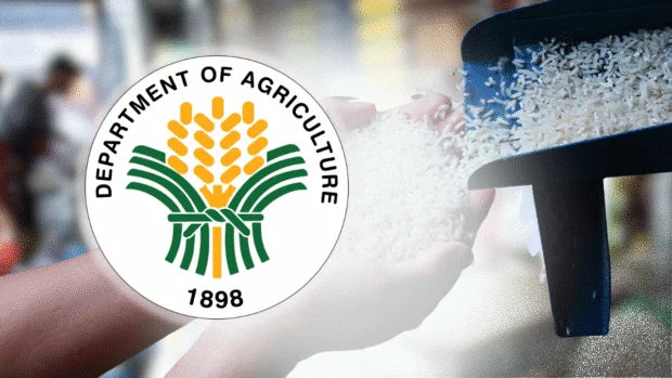DA rules out rice import ban amid El Niño risks