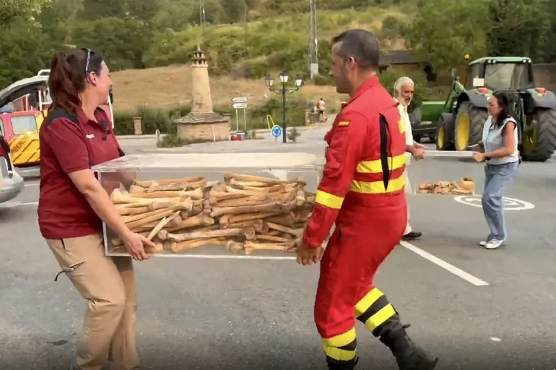 Spain's Aragon sends 'largest deployment' against wildfire