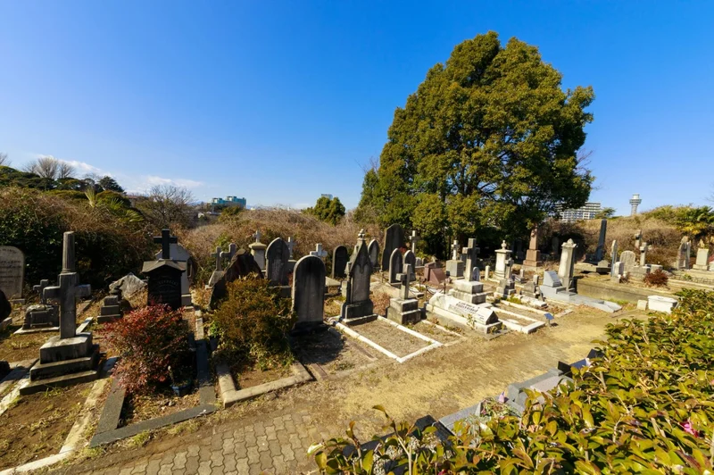 Where do foreign residents in Japan want to die?