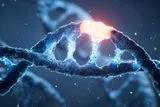 A New Gene Editing Technique May Reduce Some CRISPR Risks, But Raises Ethical Concerns