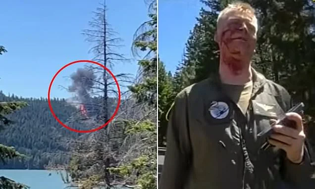 Bloodied fighter pilot casually greets cop on side of the road after ejecting from F-18 Hornet that crashed into Washington mountainside