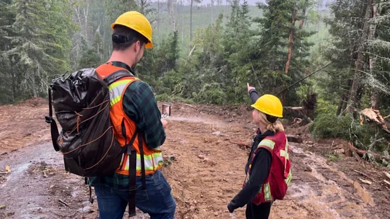 Critical adds golden string to Canadian lithium bow