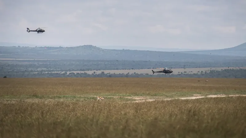 5 Americans killed in helicopter crash in Kenya, including Telemundo executive