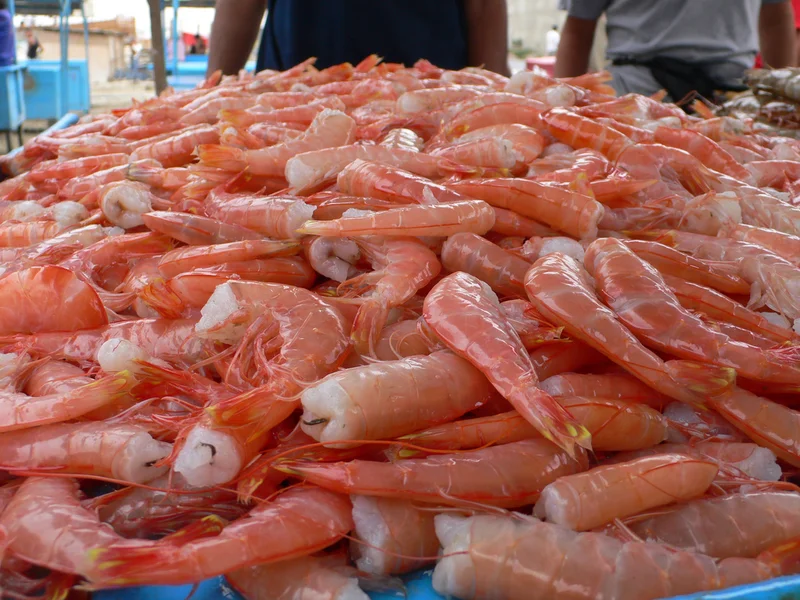 China Lifts Suspension on 8 Ecuadorian Shrimp Plants