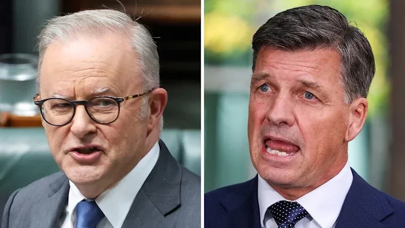 Labor and Coalition unite to ringfence AI from One Nation backlash