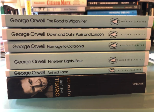 From George Orwell to sci-fi: Here's what Irish politicians are reading over the summer holidays