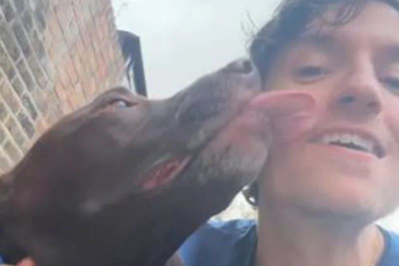 Greg James supported by Radio 1 colleagues after announcing death of beloved dog Barney