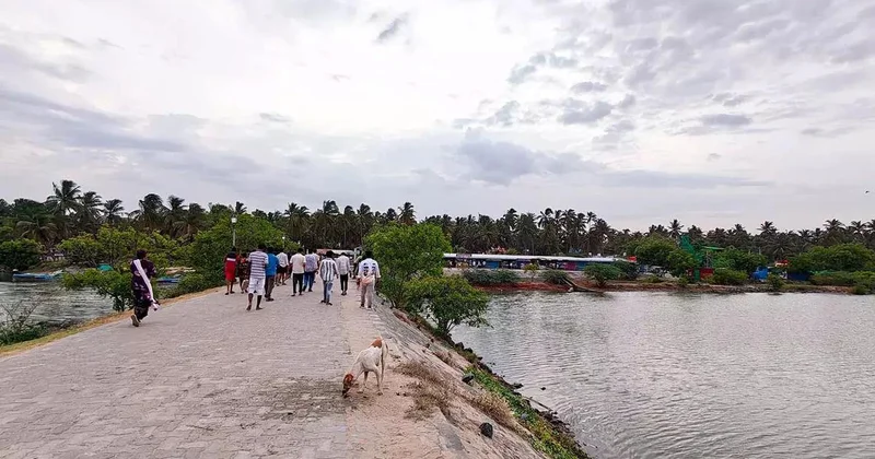 ‘Blue Flag’ tag push for India’s beaches is violating coastal rules, evicting local communities