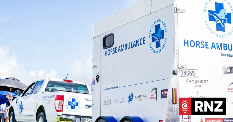 The story behind New Zealand's horse ambulance service