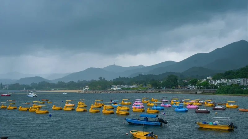 Search under way for triathlete, 59, who went missing in Hong Kong race