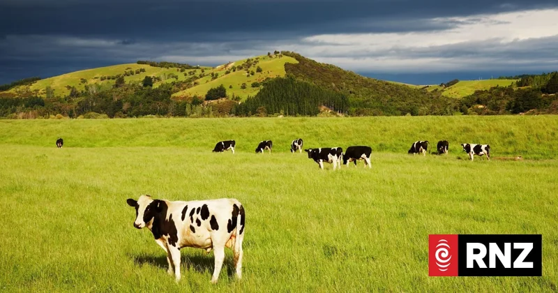 Agriculture boom drives 'fantastic' result for NZ's largest farmer, Pāmu